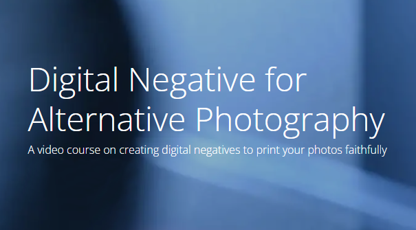 Digital Negative for Alternative Photography by Paolo Saccheri